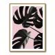 Monstera Pink No 01