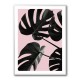 Monstera Pink No 01