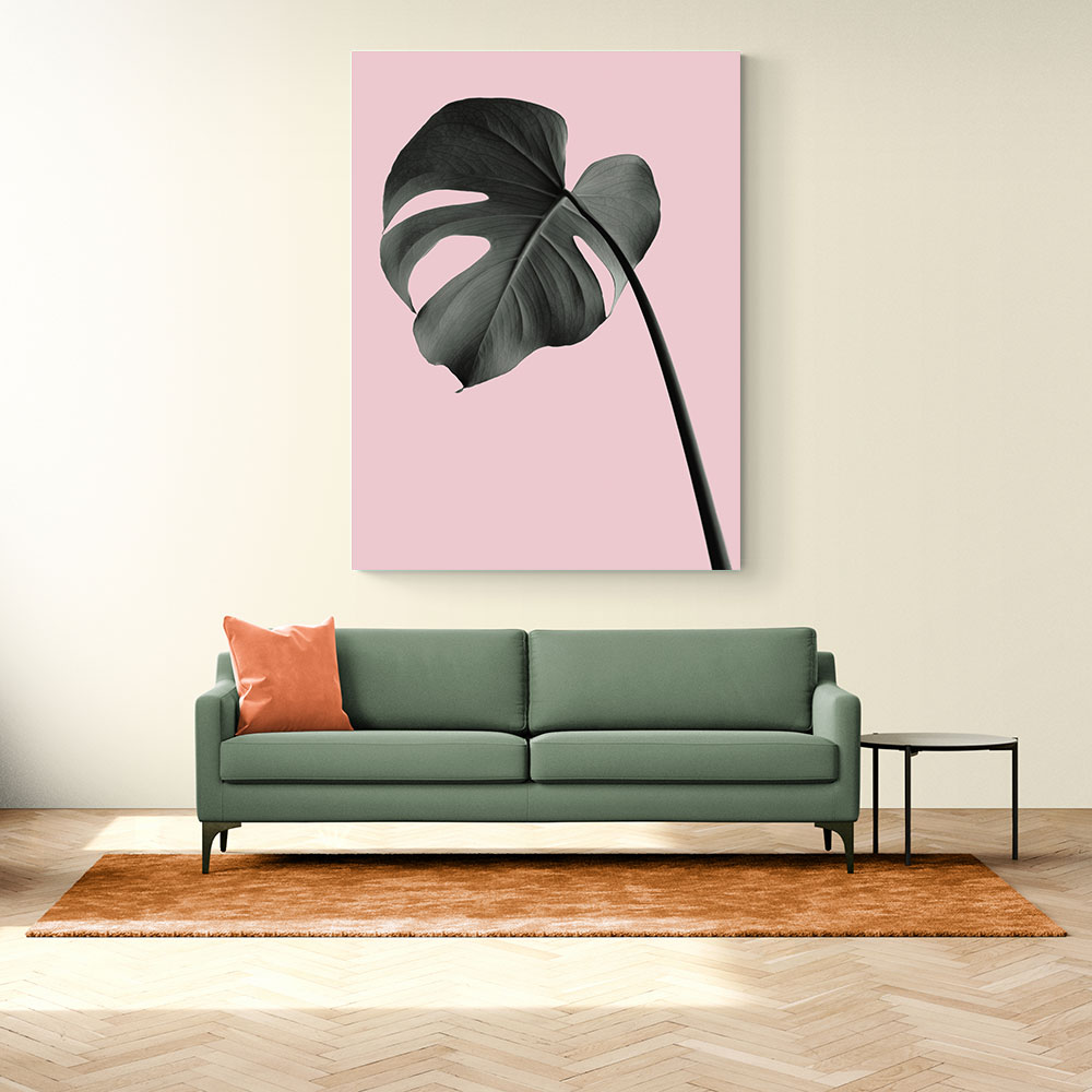 Monstera Pink No 02