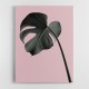 Monstera Pink No 02