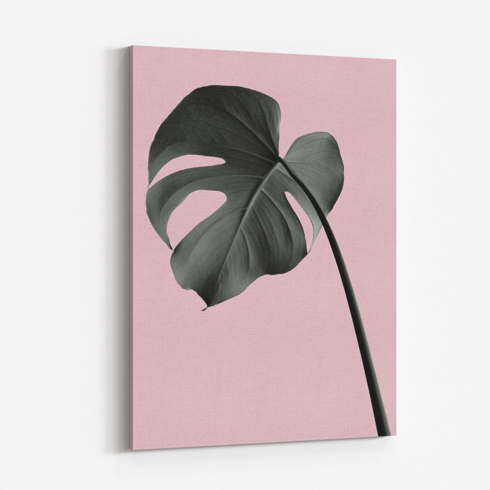 Monstera Pink No 02