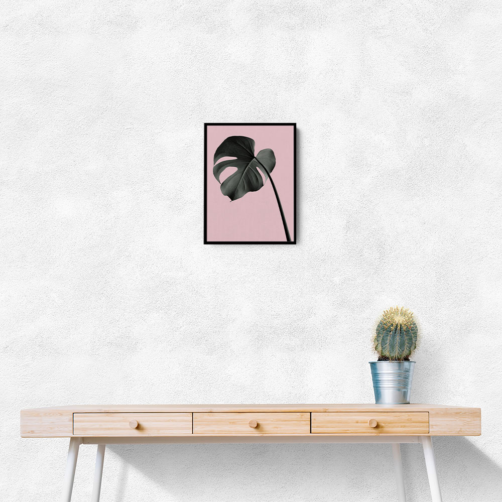 Monstera Pink No 02