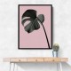 Monstera Pink No 02