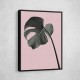 Monstera Pink No 02