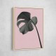 Monstera Pink No 02