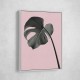 Monstera Pink No 02