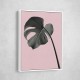 Monstera Pink No 02