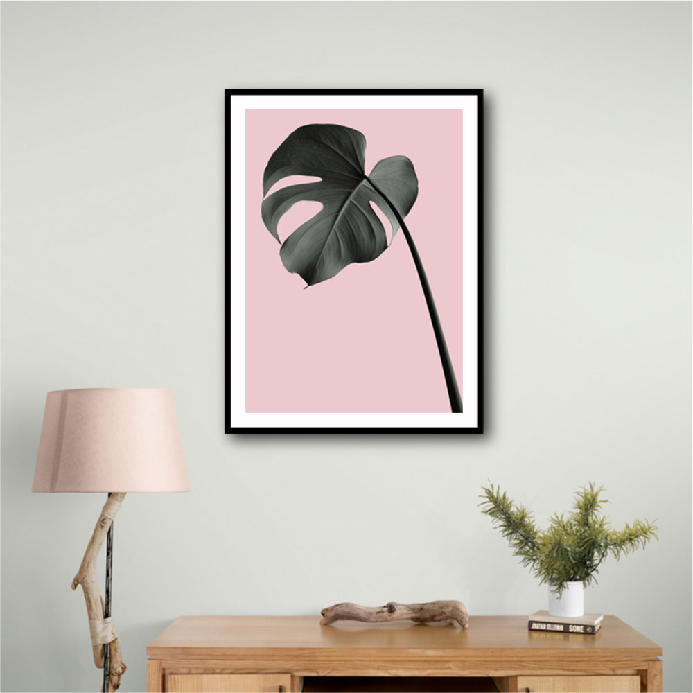 Monstera Pink No 02