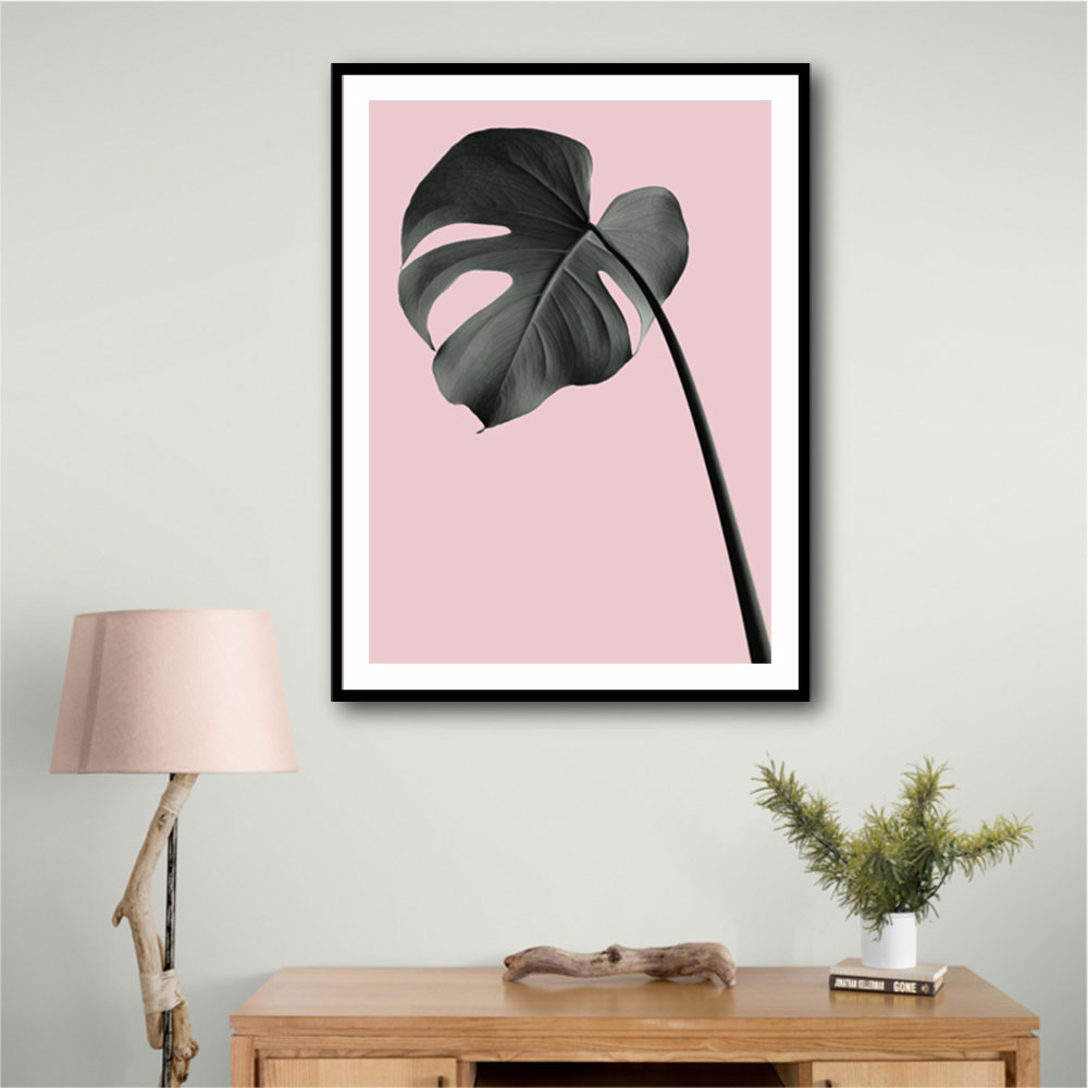 Monstera Pink No 02