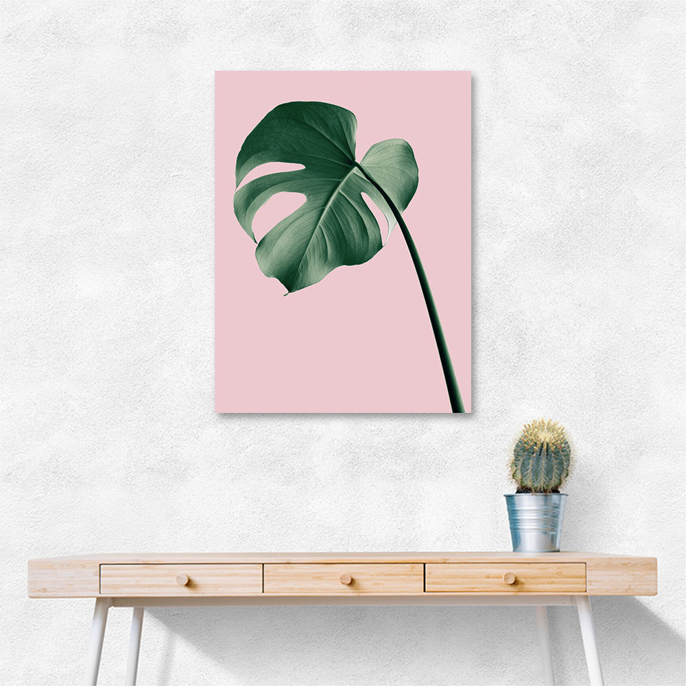 Monstera Pink No 05