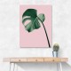 Monstera Pink No 05