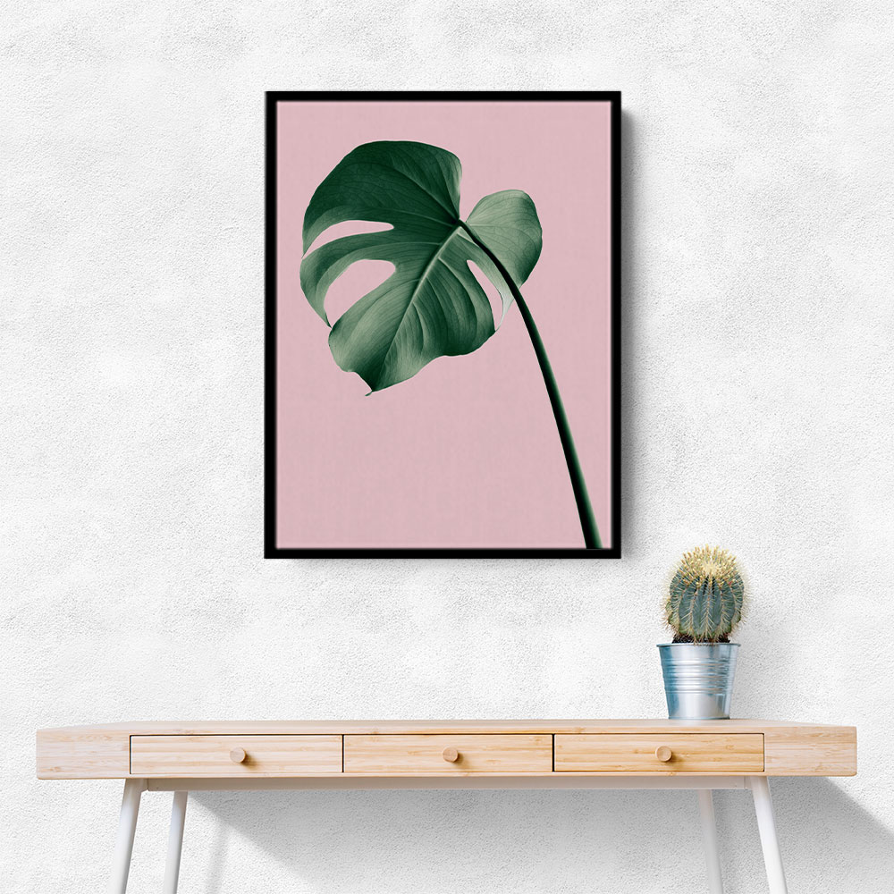 Monstera Pink No 05