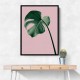 Monstera Pink No 05