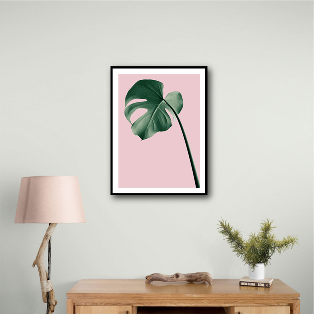 Monstera Pink No 05