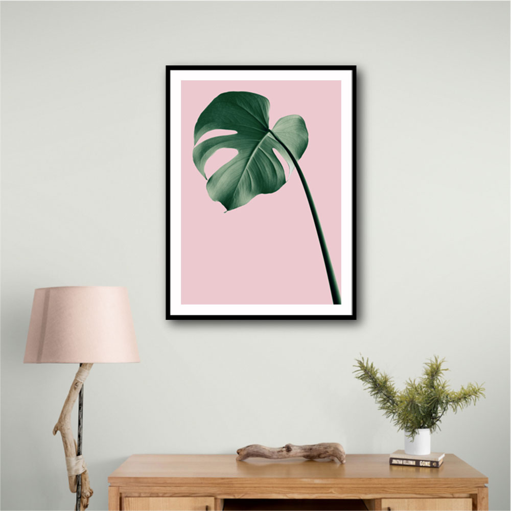 Monstera Pink No 05