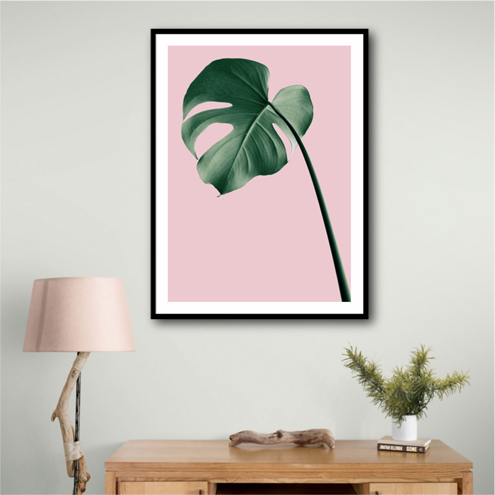 Monstera Pink No 05