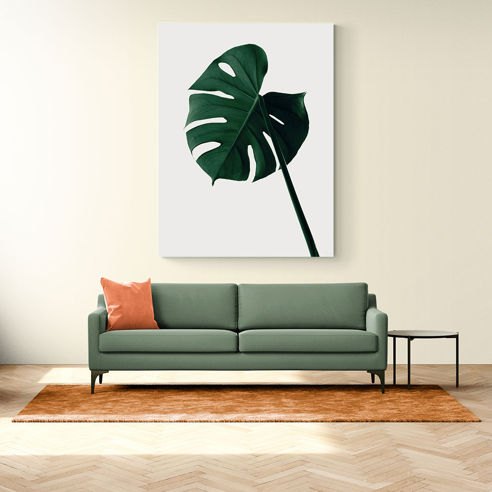 Monstera Natural 07