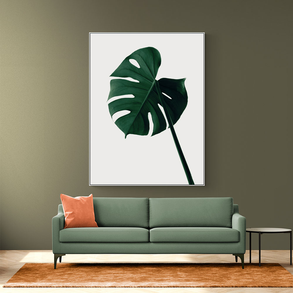 Monstera Natural 07