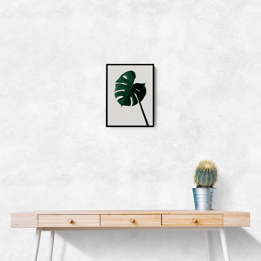 Monstera Natural 07