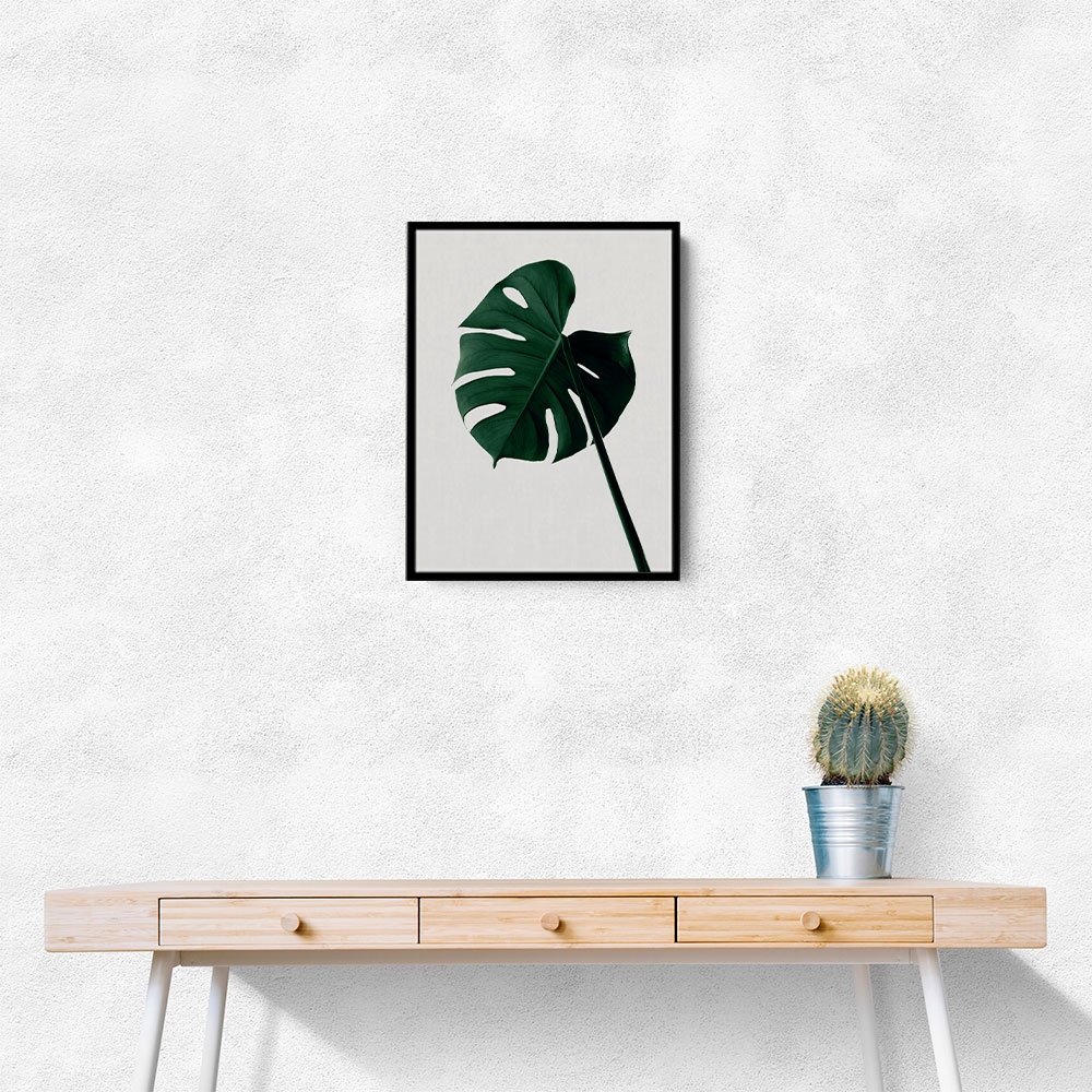 Monstera Natural 07