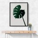 Monstera Natural 07