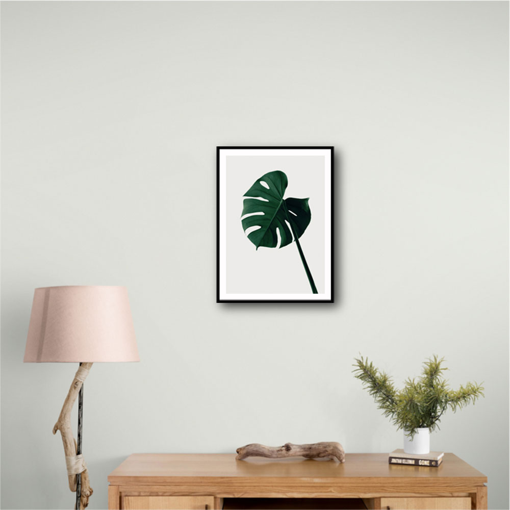 Monstera Natural 07