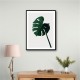 Monstera Natural 07