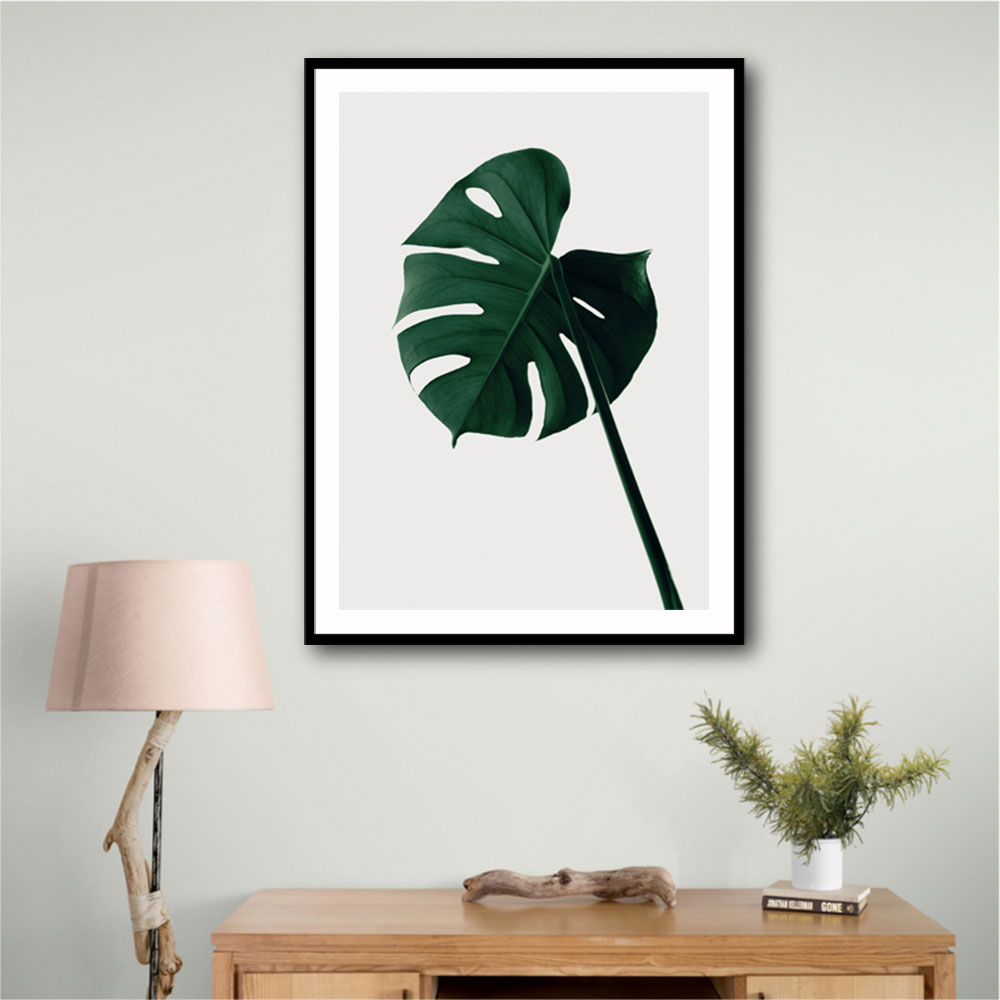 Monstera Natural 07