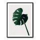 Monstera Natural 07