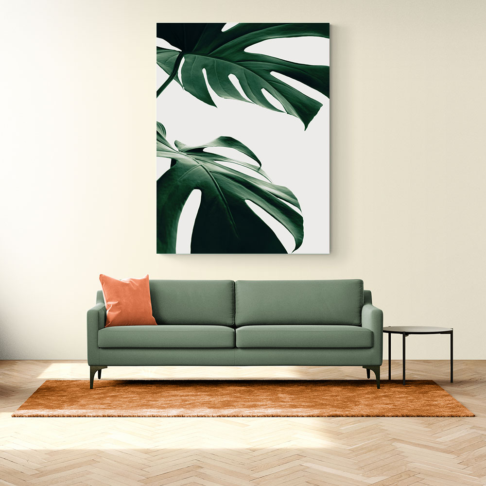 Monstera Natural 12