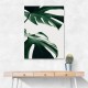 Monstera Natural 12