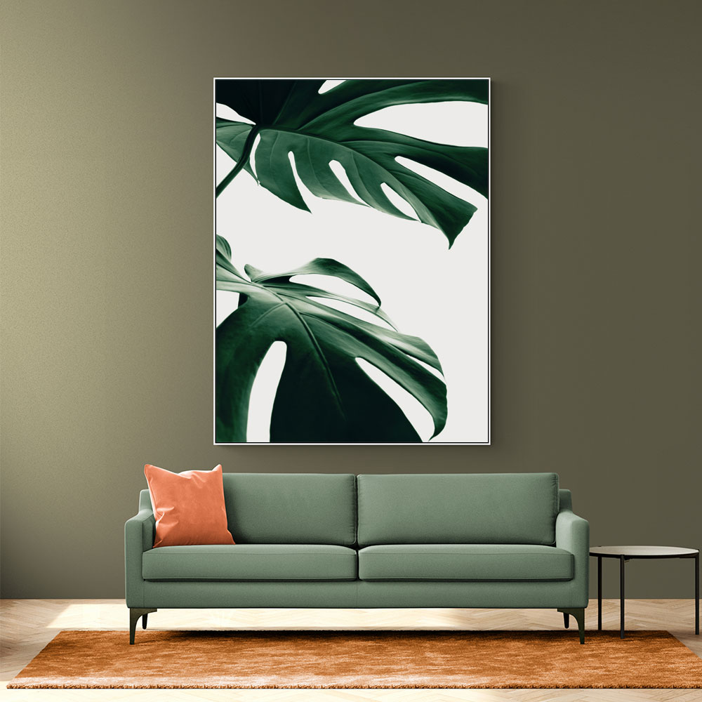 Monstera Natural 12