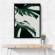 Monstera Natural 12