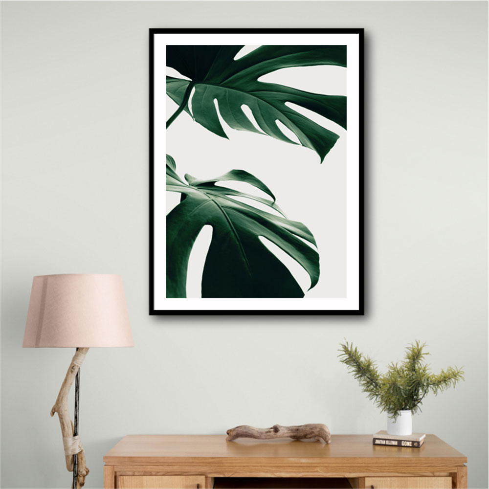 Monstera Natural 12