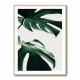 Monstera Natural 12