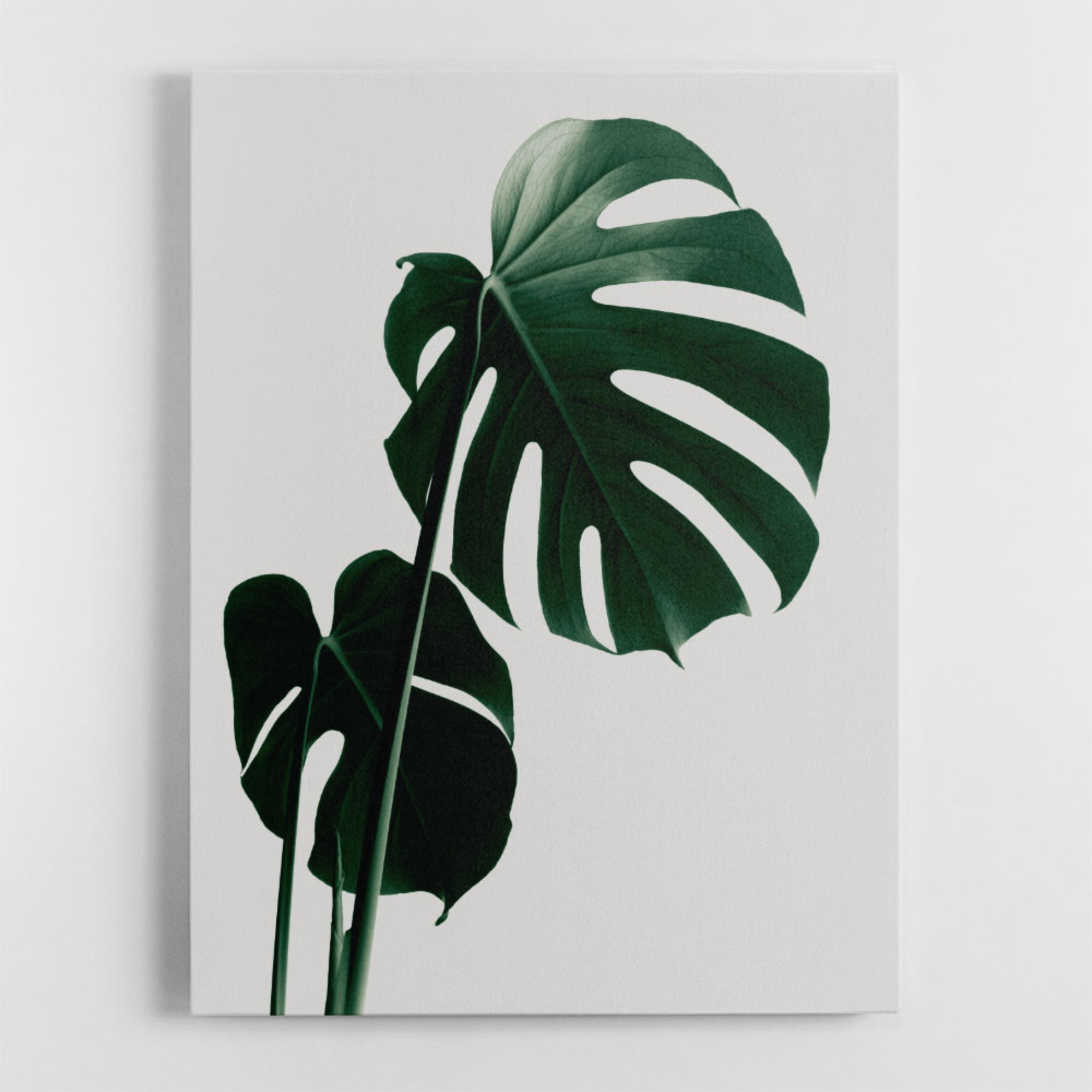 Monstera Natural 16 Wall Art monstera-natural-16-wall-art