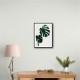 Monstera Natural 16