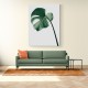 Monstera Natural 36 Monstera Natural 36