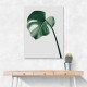 Monstera Natural 36 Monstera Natural 36