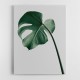 Choose Product Type:: Canvas Monstera Natural 36