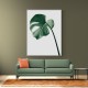 Monstera Natural 36 Monstera Natural 36