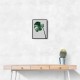 Monstera Natural 36 Monstera Natural 36