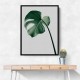 Framed Canvas Size:: Extra Large 90 x 120 cm Monstera Natural 36