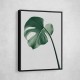 Frame Colour:: Black Monstera Natural 36