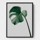 Choose Product Type:: Framed Canvas Monstera Natural 36