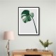 Monstera Natural 36