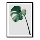Choose Product Type:: Framed Print
Frame Colour:: Black Monstera Natural 36