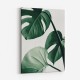 Monstera Natural 42