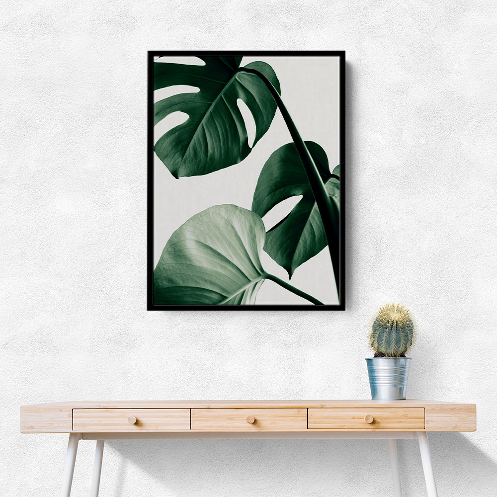 Monstera Natural 42