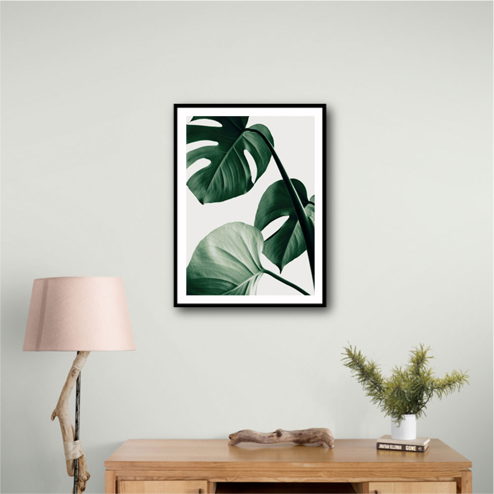 Monstera Natural 42